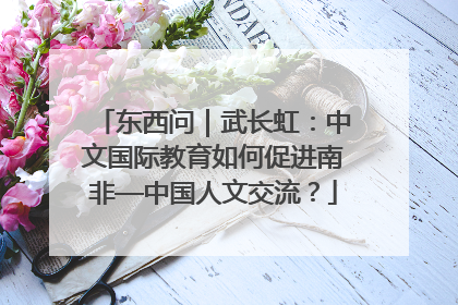 东西问｜武长虹：中文国际教育如何促进南非—中国人文交流？