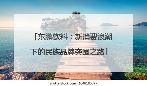 东鹏饮料：新消费浪潮下的民族品牌突围之路