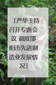 严华主持召开专题会议 调度邵阳市先进制造业发展情况