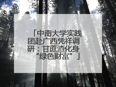 中南大学实践团赴广西凭祥调研：甘蔗渣化身“绿色财富”