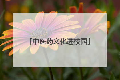 中医药文化进校园