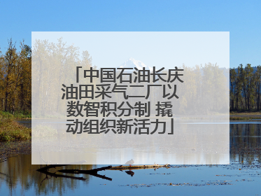 中国石油长庆油田采气二厂以数智积分制 撬动组织新活力