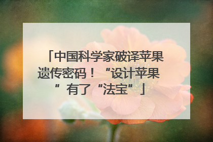 中国科学家破译苹果遗传密码！“设计苹果”有了“法宝”