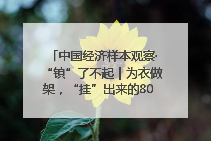 中国经济样本观察·“镇”了不起｜为衣做架，“挂”出来的80亿元“衣架产业”