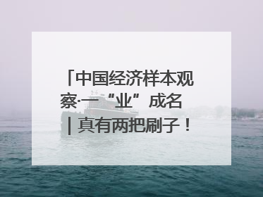 中国经济样本观察·一“业”成名｜真有两把刷子！“刷”出30亿级“颜值经济”