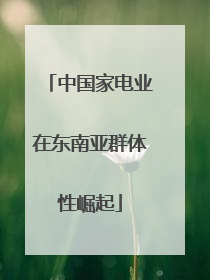 中国家电业在东南亚群体性崛起