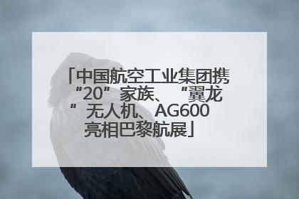 中国航空工业集团携“20”家族、“翼龙”无人机、AG600亮相巴黎航展