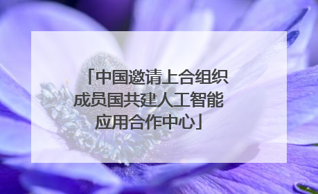 中国邀请上合组织成员国共建人工智能应用合作中心