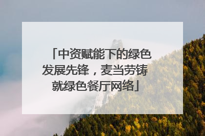 中资赋能下的绿色发展先锋，麦当劳铸就绿色餐厅网络