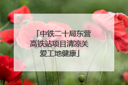中铁二十局东营高铁站项目清凉关爱工地健康