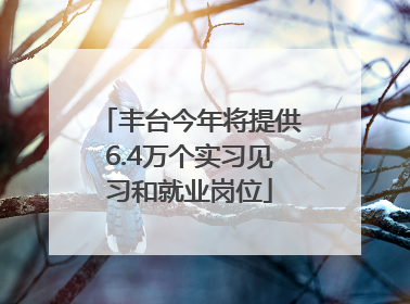 丰台今年将提供6.4万个实习见习和就业岗位