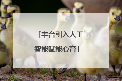 丰台引入人工智能赋能心育