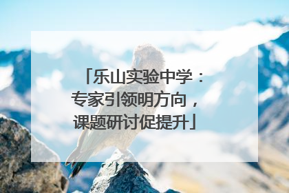 乐山实验中学：专家引领明方向，课题研讨促提升
