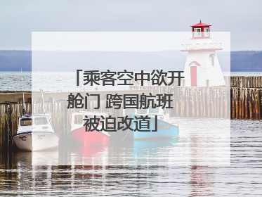 乘客空中欲开舱门 跨国航班被迫改道