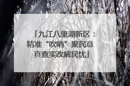 九江八里湖新区：精准“吹哨”聚民意 真查实改解民忧