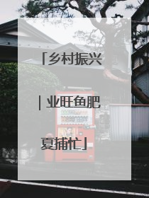 乡村振兴｜业旺鱼肥夏捕忙