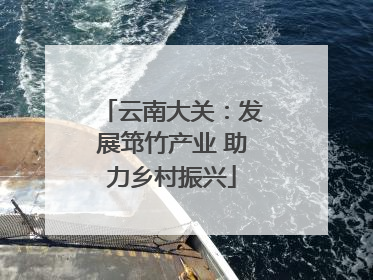 云南大关：发展筇竹产业 助力乡村振兴
