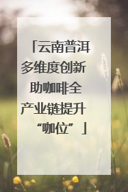 云南普洱多维度创新 助咖啡全产业链提升“咖位”