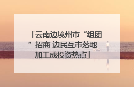 云南边境州市“组团”招商 边民互市落地加工成投资热点