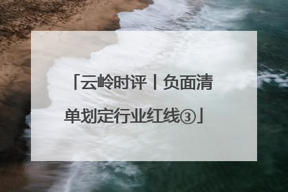 云岭时评丨负面清单划定行业红线③