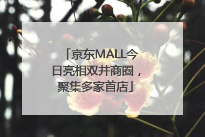 京东MALL今日亮相双井商圈，聚集多家首店