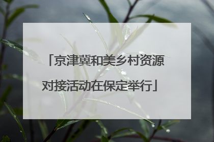 京津冀和美乡村资源对接活动在保定举行