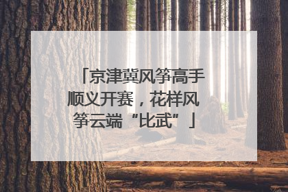 京津冀风筝高手顺义开赛，花样风筝云端“比武”