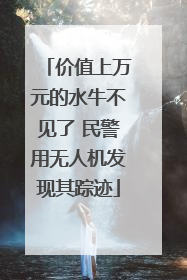 价值上万元的水牛不见了 民警用无人机发现其踪迹