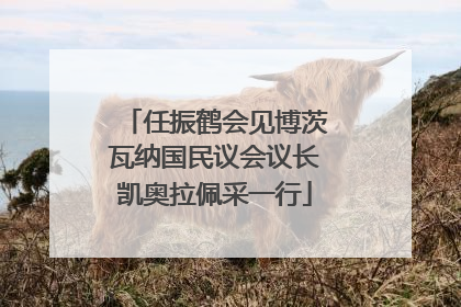 任振鹤会见博茨瓦纳国民议会议长凯奥拉佩采一行