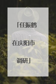 任振鹤在庆阳市调研