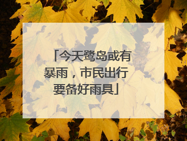 今天鹭岛或有暴雨，市民出行要备好雨具