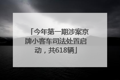 今年第一期涉案京牌小客车司法处置启动，共618辆