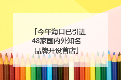 今年海口已引进48家国内外知名品牌开设首店