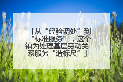 从“经验调处”到“标准服务”，这个镇为处理基层劳动关系服务“造标尺”