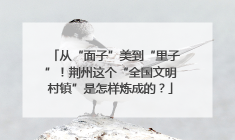 从“面子”美到“里子”！荆州这个“全国文明村镇”是怎样炼成的？