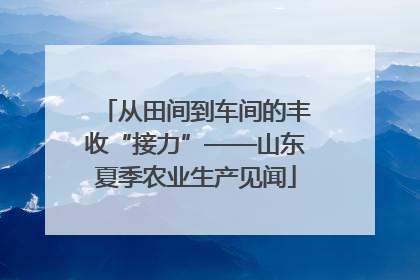 从田间到车间的丰收“接力”——山东夏季农业生产见闻