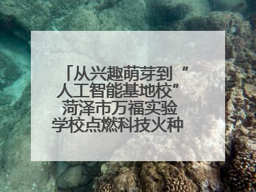 从兴趣萌芽到“人工智能基地校” 菏泽市万福实验学校点燃科技火种，赋能未来人才