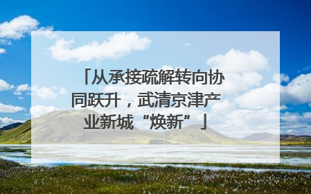 从承接疏解转向协同跃升，武清京津产业新城“焕新”