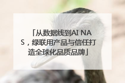 从数据线到AI NAS，绿联用产品与信任打造全球化品质品牌