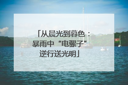 从晨光到暮色：暴雨中“电骡子”逆行送光明