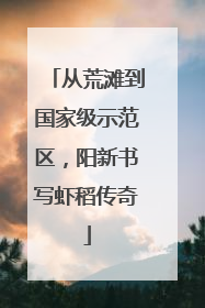 从荒滩到国家级示范区，阳新书写虾稻传奇