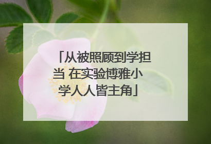 从被照顾到学担当 在实验博雅小学人人皆主角