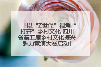 以“Z世代”视角“打开”乡村文化 四川省第五届乡村文化振兴魅力竞演大赛启动