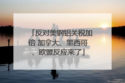 反对美钢铝关税加倍 加拿大、墨西哥、欧盟反应来了