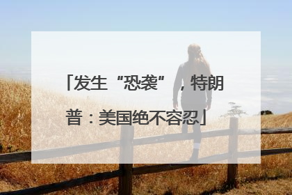 发生“恐袭”，特朗普：美国绝不容忍