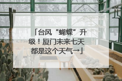 台风“蝴蝶”升级！厦门未来七天都是这个天气→
