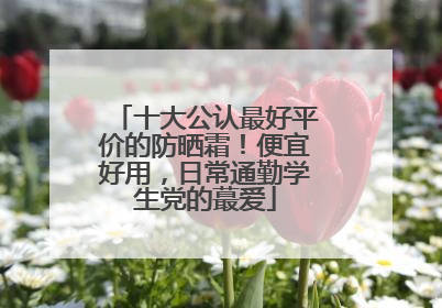 十大公认最好平价的防晒霜！便宜好用，日常通勤学生党的蕞爱