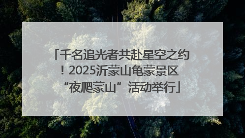千名追光者共赴星空之约！2025沂蒙山龟蒙景区“夜爬蒙山”活动举行