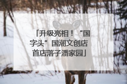 升级亮相！“国字头”国潮文创店首店落子潘家园