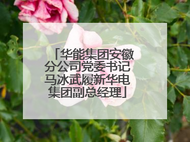 华能集团安徽分公司党委书记马冰武履新华电集团副总经理